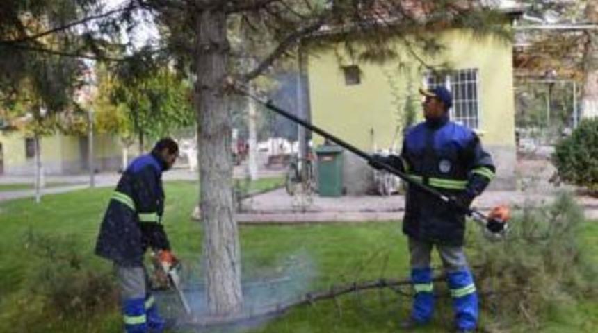 Kocasinan'da Ağa&ccedil;lara Kışlık Bakım