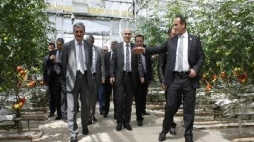 Ak Parti İzmir Milletvekili Aydın Şeng&uuml;l: