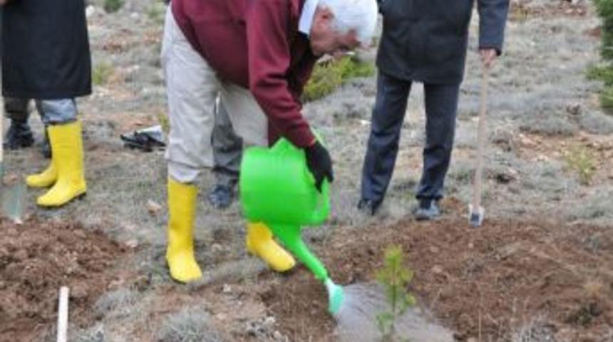 Emniyet Müdürlüğü Huzur Ormanı'na Bin Fidan Dikildi