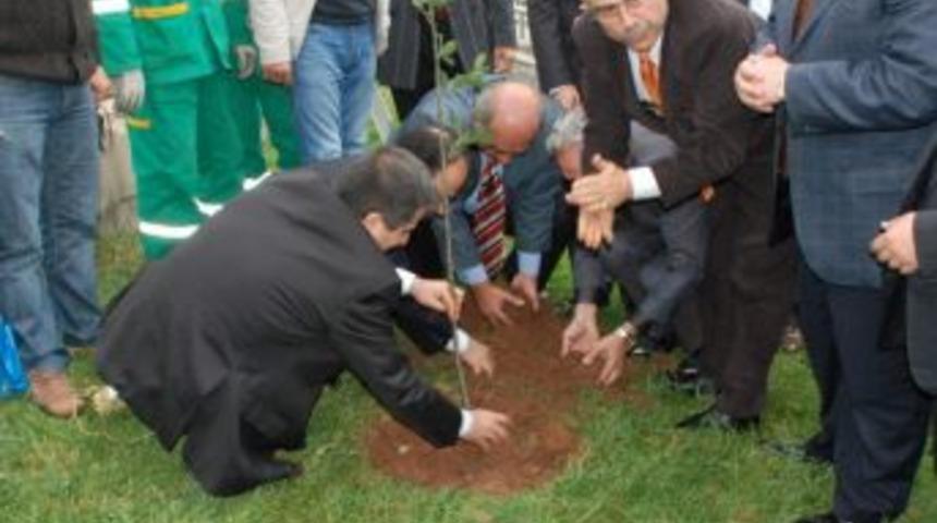 Baydemir S&uuml;merpark&rsquo;ta &lsquo;barış Ve Sevgi Fidanları&rsquo; Dikti