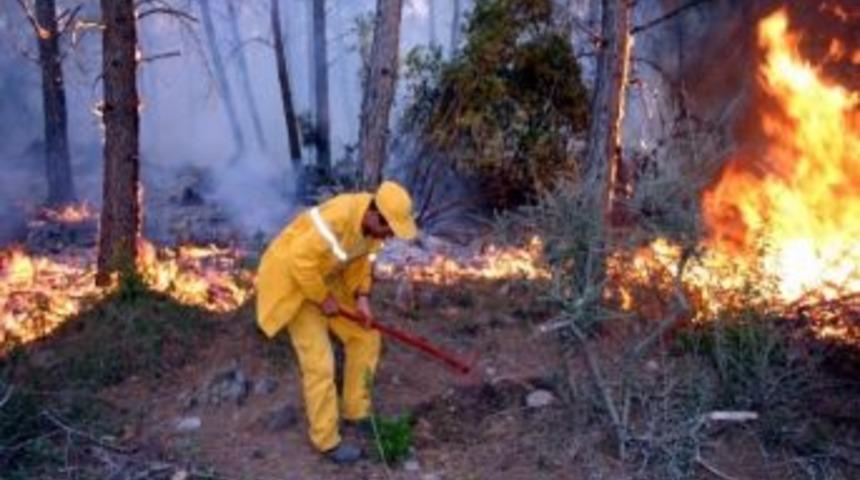 Soma&rsquo;da 2012 Yılı Orman Yangını Bilan&ccedil;osu A&ccedil;ıklandı