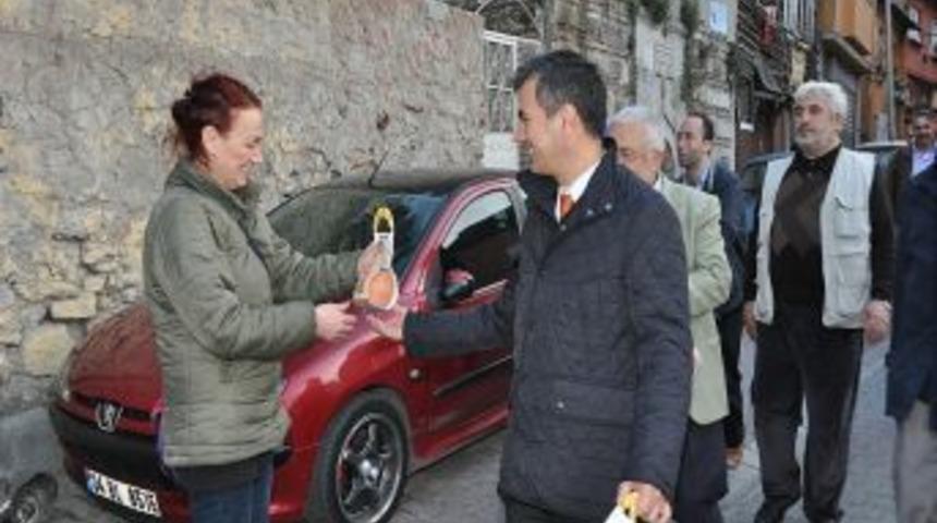 Ey&uuml;p Belediyesi Semt Sakinlerine &Ccedil;i&ccedil;ek Tohumu Dağıttı