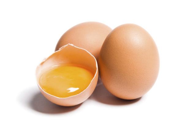 yumurta 460