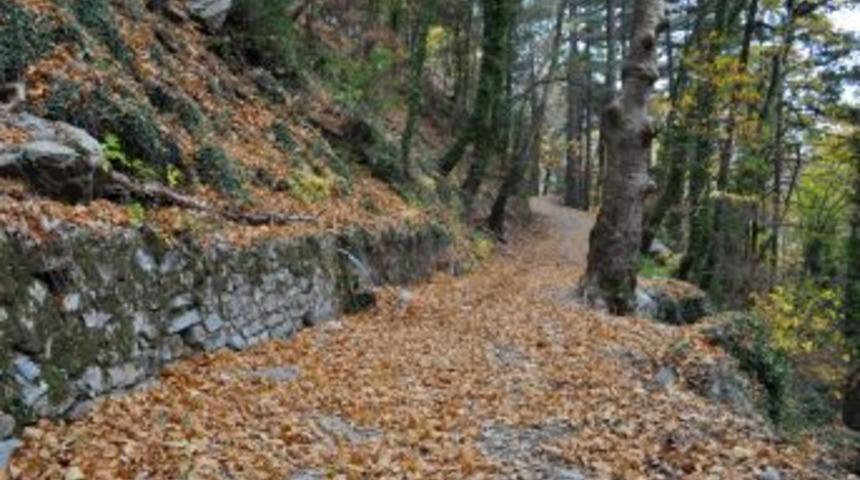 T&uuml;rkiye'nin Oksijen Deposu Kazdağları'nda Sonbahar