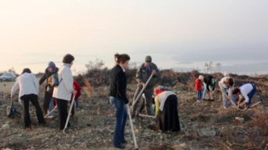 Bursa'da Kadınlar Şiddete Karşı Fidan Dikti