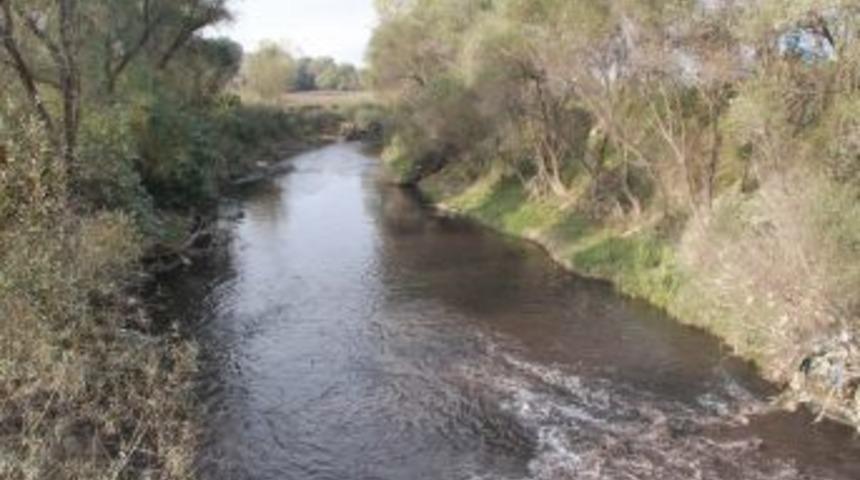 Kirletilen Nil&uuml;fer &Ccedil;ayı'nın Kurtarılması I&ccedil;in Pedal &Ccedil;evirdiler