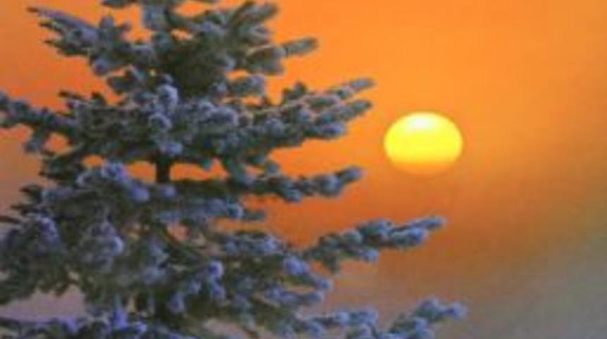 Gazeteci Akk&ouml;k, 'Kar Şehri Erzurum'u Yayımladı