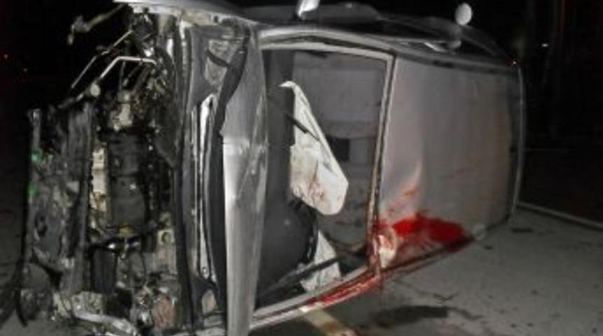 Panelvanın &Ccedil;arptığı At Ve Karnındaki Yavrusu Telef Oldu