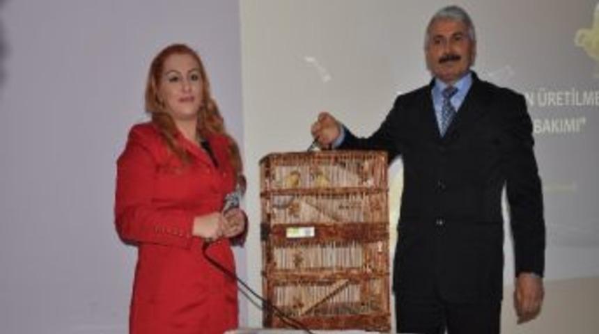 Kader Mahkumlarının &lsquo;kanarya&rsquo; Sevinci