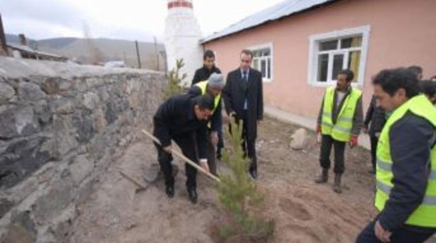 Sarıkamış&rsquo;ta Cami Bah&ccedil;elerine Şarı&ccedil;am Fidanı Dikiliyor