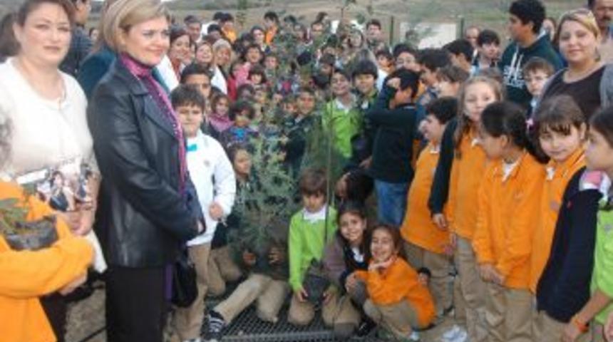 300 fidan toprakla buluştu