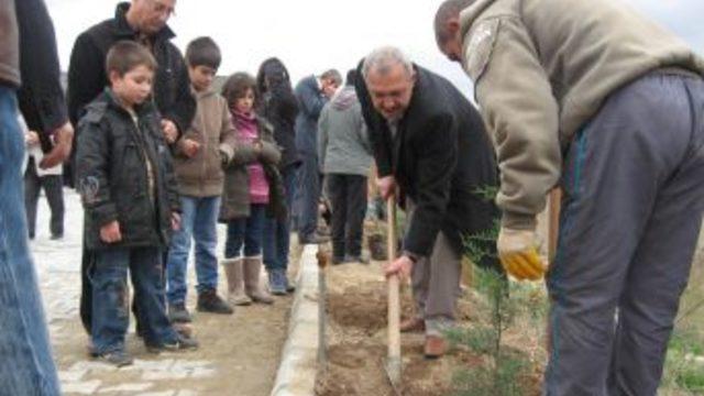 Turhallılar Yavşan Mezarlığı'na Ağaç Dikti