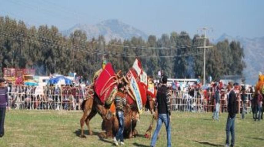 Ege&rsquo;de Deve G&uuml;reşi Sezonu Başladı