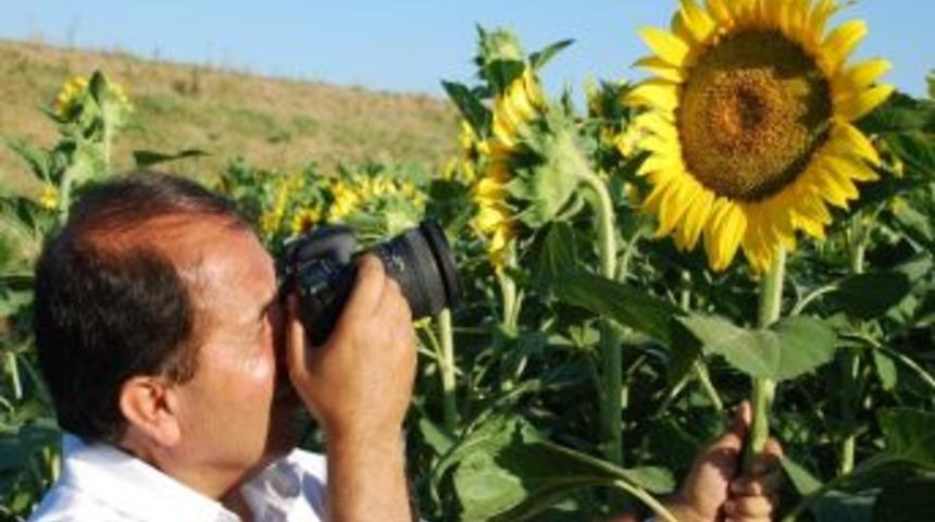 &lsquo;ay&ccedil;i&ccedil;eği At&ouml;lyesi&rsquo; Sergiye Hazırlanıyor