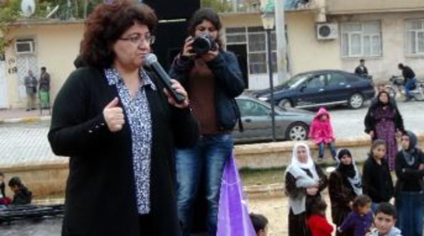 Bdp Milletvekili Ayna, Nusaybin'de