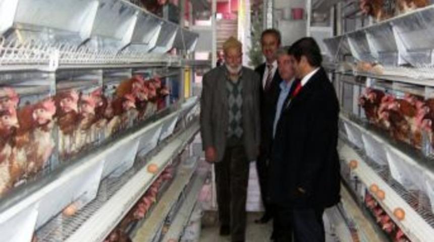 Vali Mayda İşletmelerde İncelemelerde Bulundu