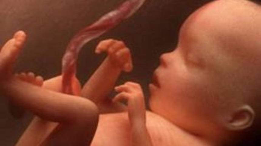 Anne Karnında Sıvı Kaybı Bebeği &Ouml;ld&uuml;rebilir