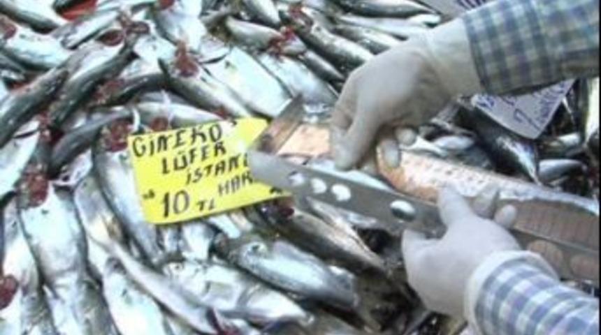 &Ccedil;amkıran Pazarında Balık Kontrol&uuml; Yapıldı