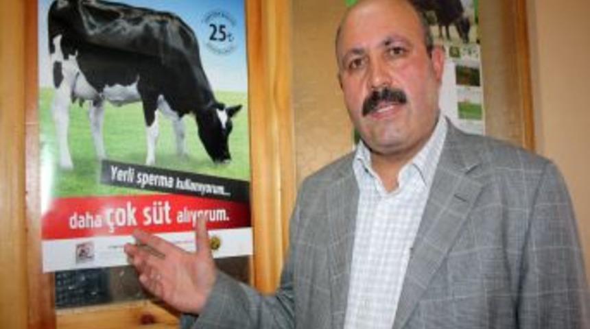 Karslı Besiciler Samanın 1 Lira, S&uuml;t&uuml;n 55 Kuruş Olmasından Kaygılı