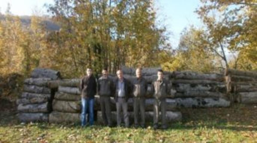 Akyazı Orman İşletme Şefliği Personeli Ka&ccedil;ak&ccedil;ılara G&ouml;z A&ccedil;tırmıyor