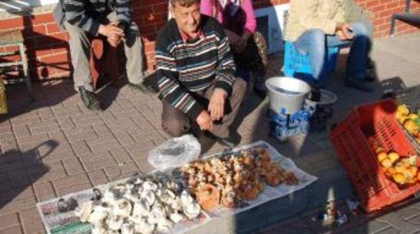 Aydın Ve Muğla&rsquo;da &Ccedil;ıntar Bereketi