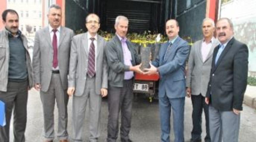 Karaman&rsquo;da Dağ K&ouml;ylerine Antep Fıstığı Fidanı Dağıtıldı
