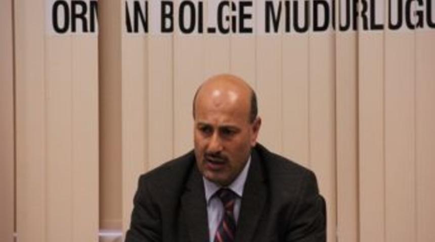 Dikili Ağaç Satışlarında En Başarılı Bölge Adapazarı Orman Bölge Müdürlüğü Oldu