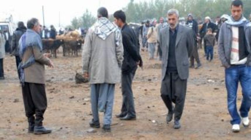 Siverek'te Hayvan Satıcıları Zor Durumda