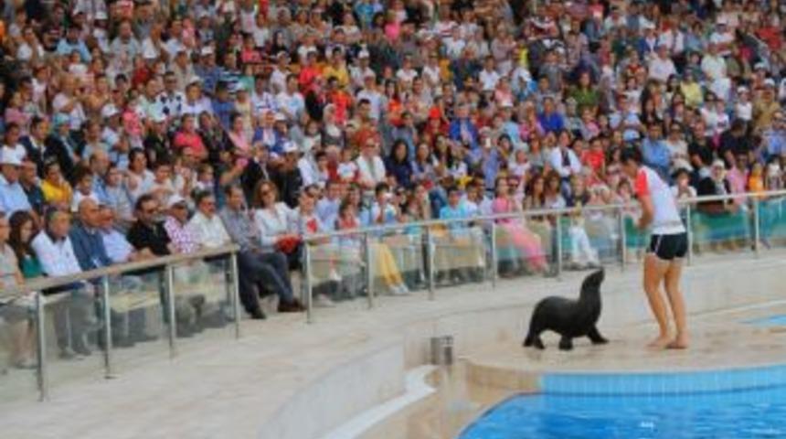 Gaziantep Halkı Fokları Sevdi