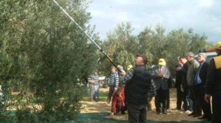 Makineli Hasata Davullu Zurnalı Tanıtım