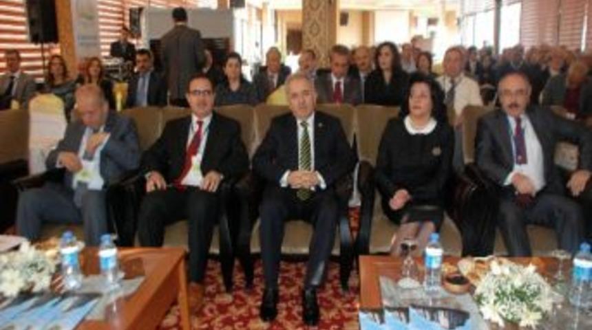 1. Uluslar Arası Kivi &Ccedil;alıştayı Başladı