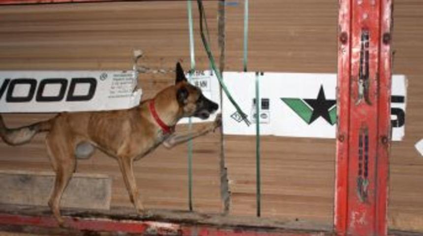 Sivas&rsquo;ta Ka&ccedil;ak Sigara Operasyonu