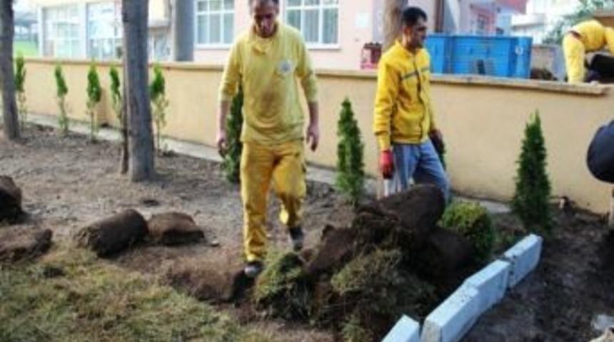 Cami &Ccedil;evreleri Yeşillendiriliyor