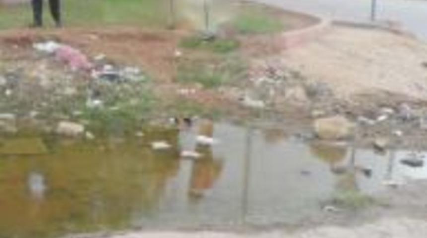 Karakuş ,Seyhan kokuyor