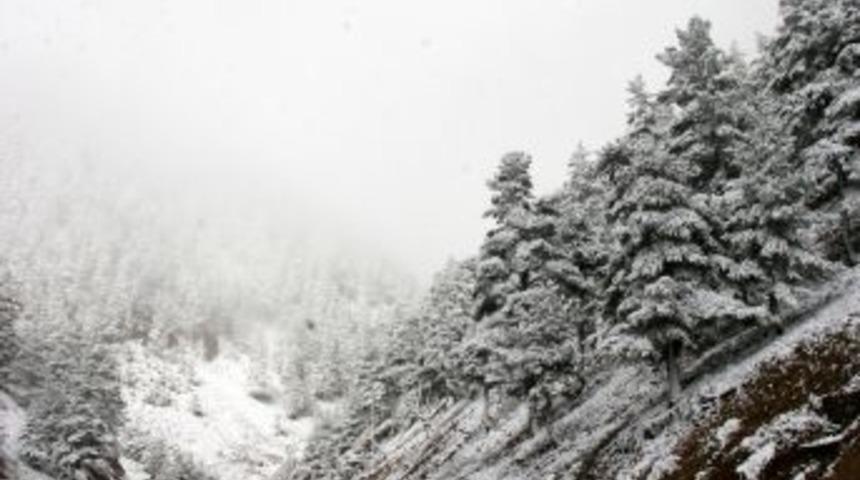 Zigana Beyaza B&uuml;r&uuml;nd&uuml;