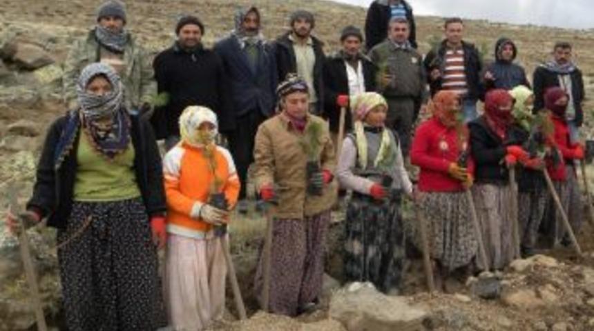 Diyarbakır&rsquo;dan Ağa&ccedil; Dikmek İ&ccedil;in Kayseri&rsquo;ye Geldi