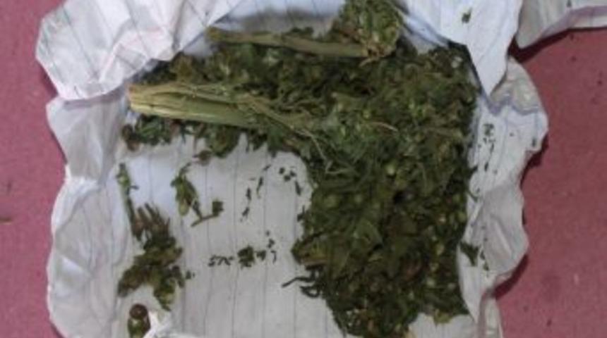 Kars Emniyeti Sokakta Esrar Satanları Takibe Aldı