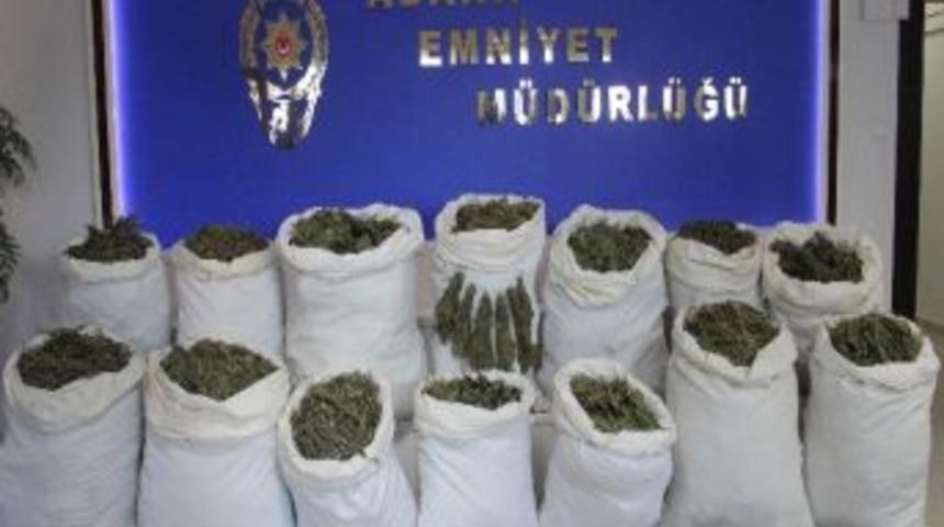 "maya" Uyuşturucu Tacirlerine G&ouml;z A&ccedil;tırmıyor