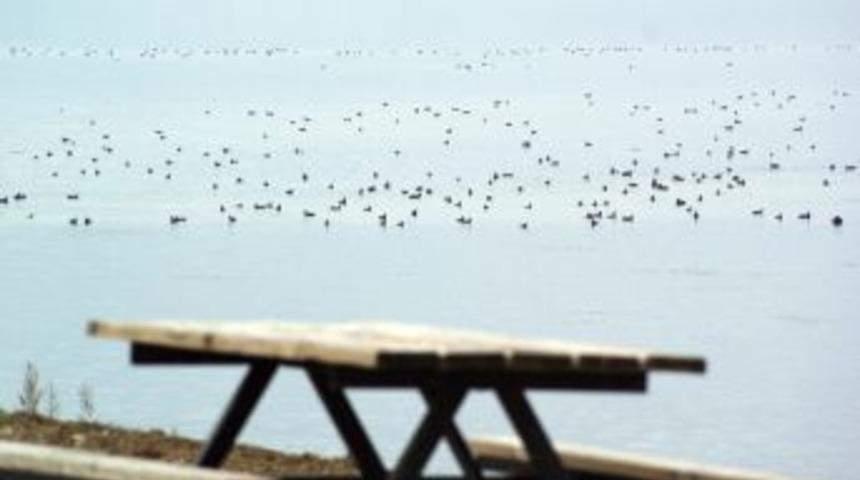 G&ouml;&ccedil;men Kuşların Yolculuğu Başladı