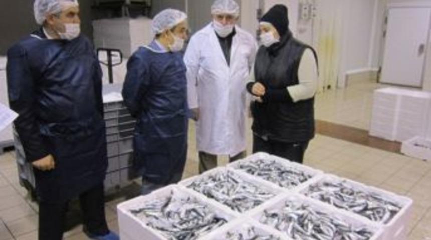 Su &Uuml;r&uuml;nleri Tesisine Ziyaret