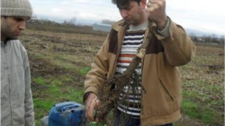 Sakarya&rsquo;nın Akyazı İl&ccedil;esinde Tarımsal Konularda Halk Eğitim Kursları D&uuml;zenlenecek