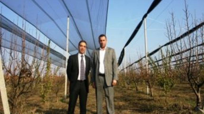 B&ouml;lgenin İlk File Kapama Armut Bah&ccedil;esi Kemalpaşa&rsquo;da Yapıldı