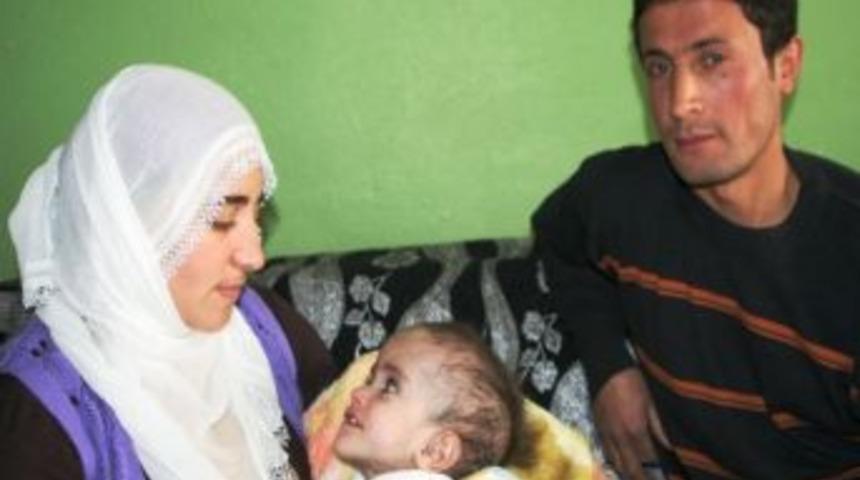 &Ouml;zay Ailesinin Dramı