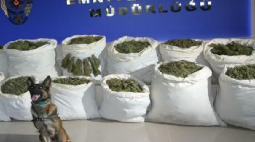 Uyuşturucu Satıcılarını 'Maya' Tuttu!