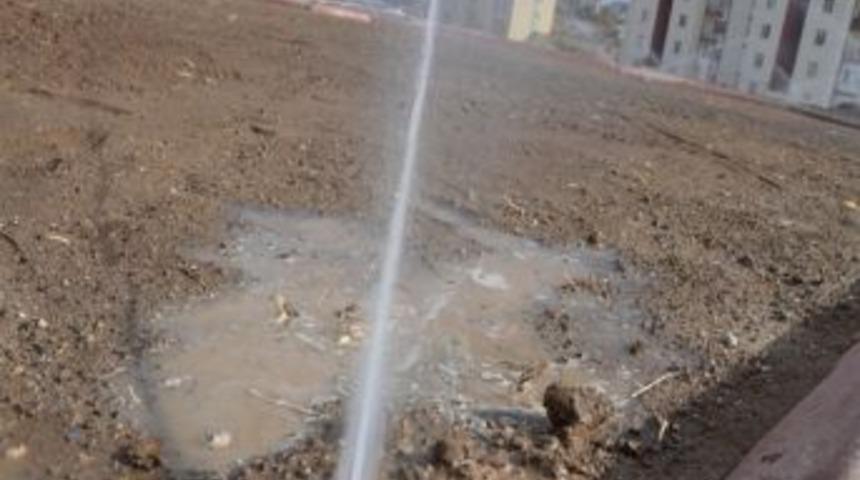 Kocasinan 32 Bin Metrekare Alanı Yeşillendirdi