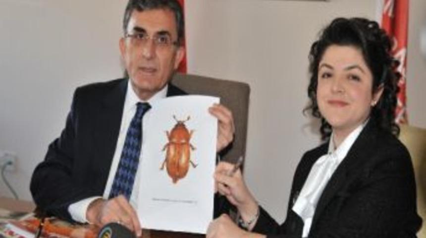 Yeni Bulunan B&ouml;ceğe "s&uuml;t&ccedil;&uuml; İmam" Adı Verildi