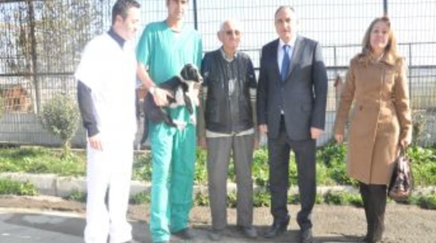 Bolu Belediyesi Hayvan Barınağı, Y&uuml;zlerce Sokak K&ouml;peğine Ev Sahipliği Yapıyor