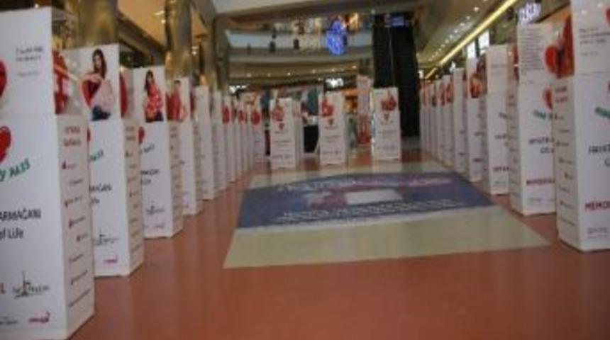 Hayatın Armağanı Sergisi Devam Ediyor