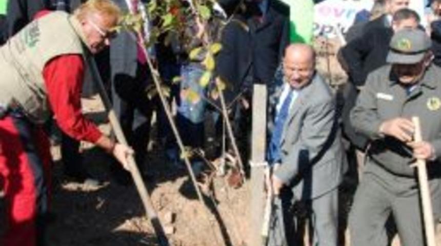 Kırıkkale&rsquo;de G&ouml;n&uuml;ller Ormanla, Fidanlar Toprakla Buluştu