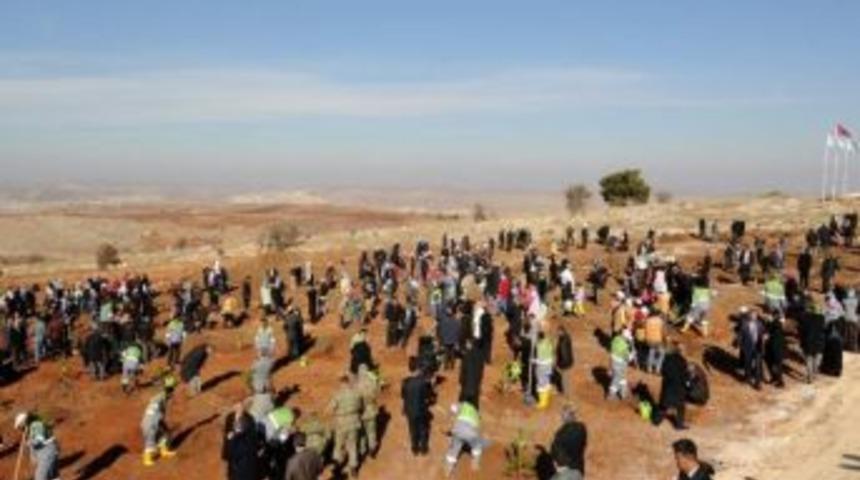 Her Şey &lsquo;bi D&uuml;nya Yeşil Alan&rsquo; İ&ccedil;in